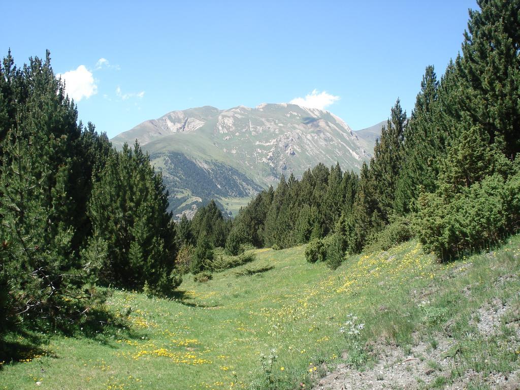 Xalet Riba - Hut 8077 Villa Аринсал Екстериор снимка